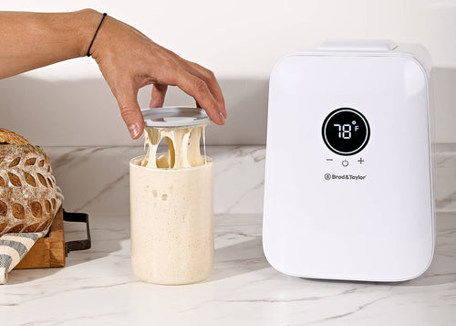 Sourdough Starter Maintenance FAQ