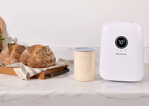 How to Maintain a Sourdough Starter