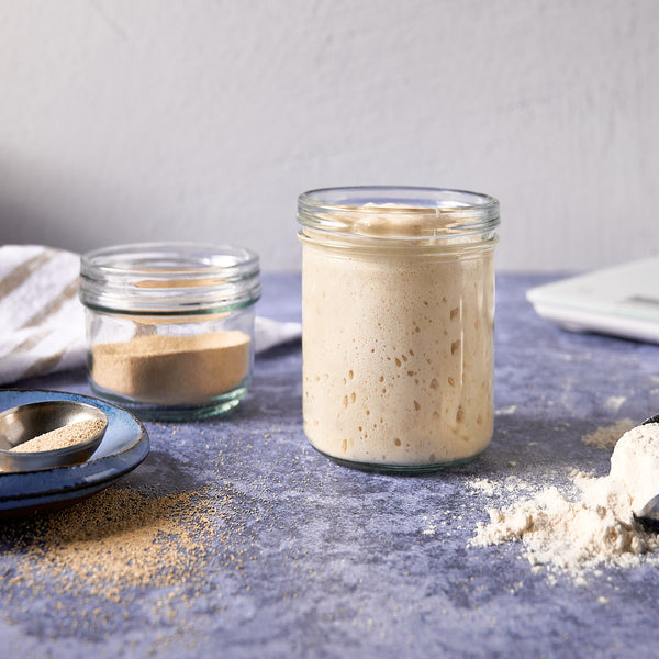 How to Convert a Yeast Recipe to Sourdough | Brod &amp; Taylor