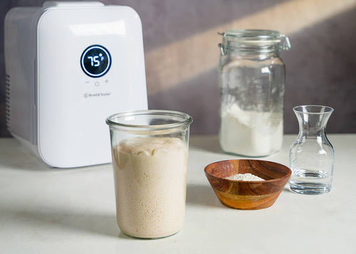 Create a Sourdough Starter from Scratch